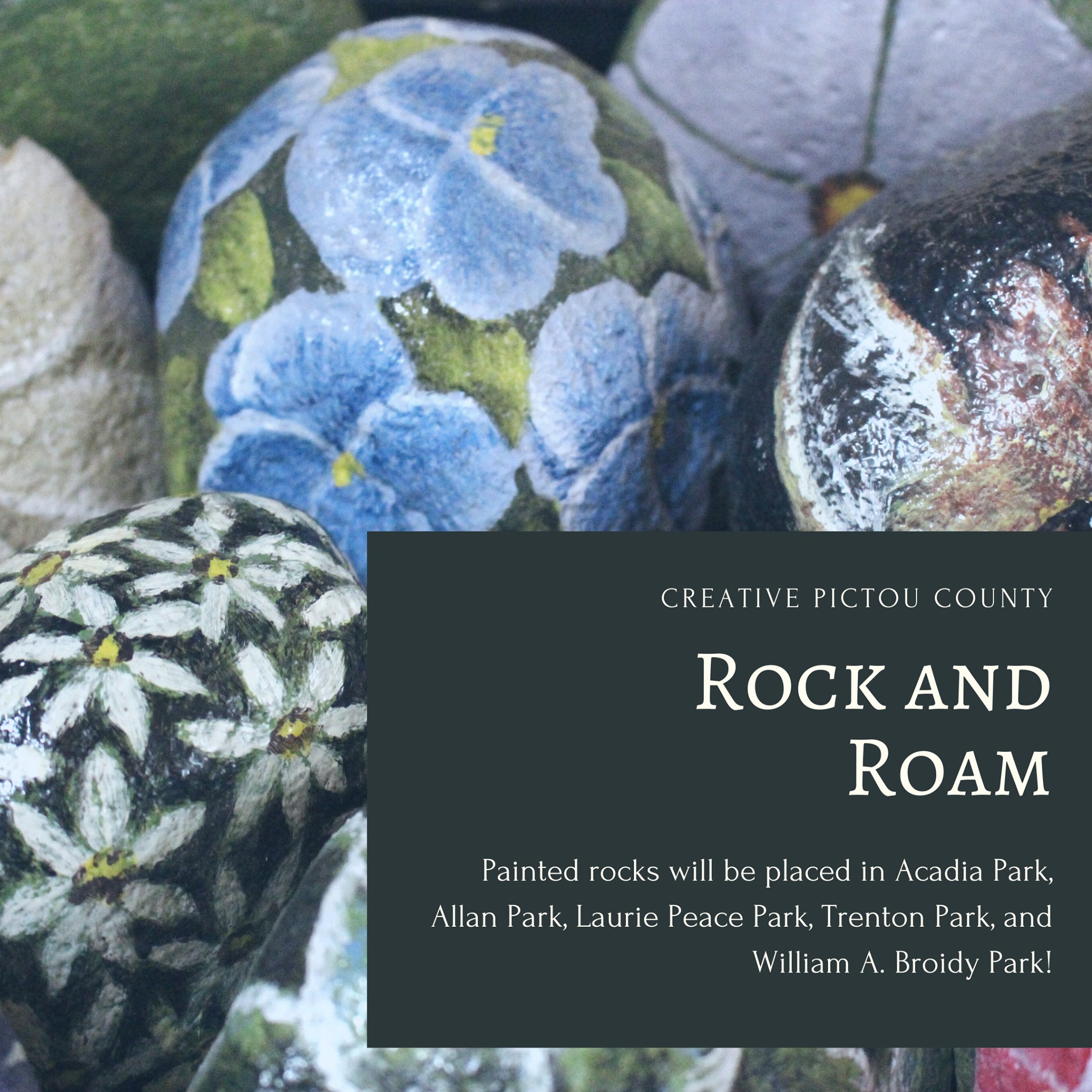creative pictou county artist rock and roam project